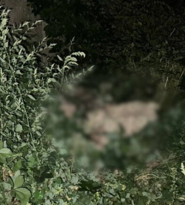 У Харкові розслідують жорстоке вбивство собаки