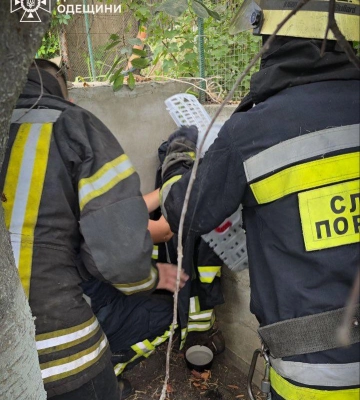 В Одесі надзвичайники врятували кота, який потрапив у капкан