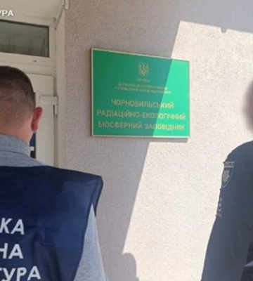 В Чернобыльской зоне незаконно вырубили деревьев на сумму более 77 млн грн