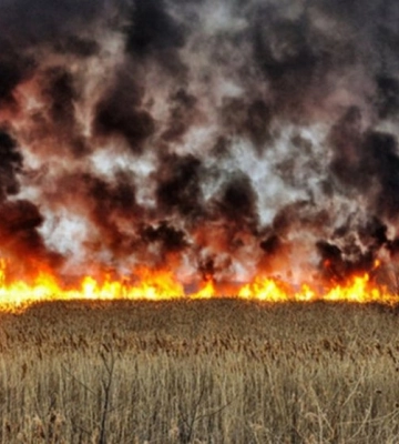 На Одещині під час пожежі в полі загинув чоловік