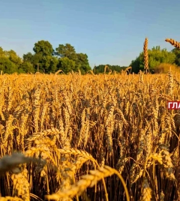 Переважно ясно, подекуди короткочасні дощі: погода на 2 вересня