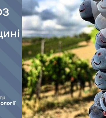Вранці Рівненщину огороне слабкий туман