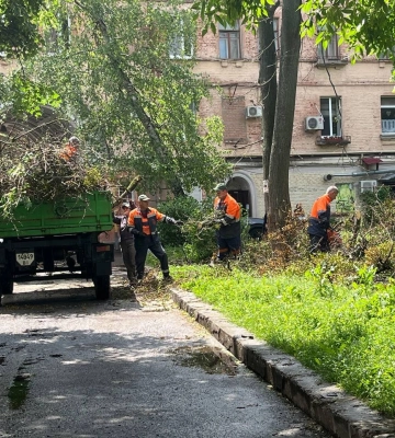 У Полтаві цього року вже спиляли понад тисячу аварійних дерев