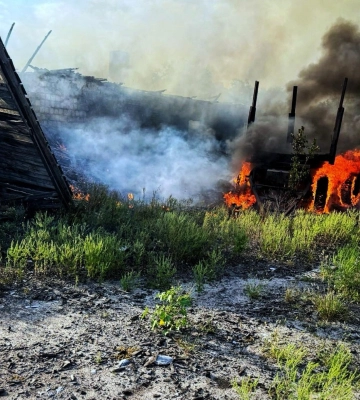 &quot;Займання відбуваються практично щоденно&quot;. Через обстріли на Донеччині пошкоджене лісництво
