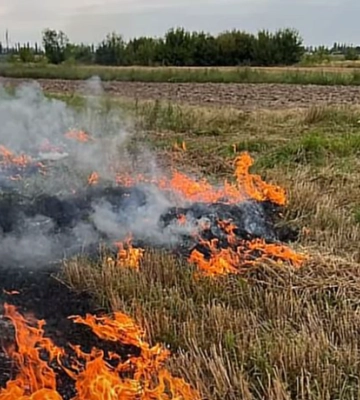 На Волині трагічно загинув чоловік: тіло виявили під час пожежі сухої трави