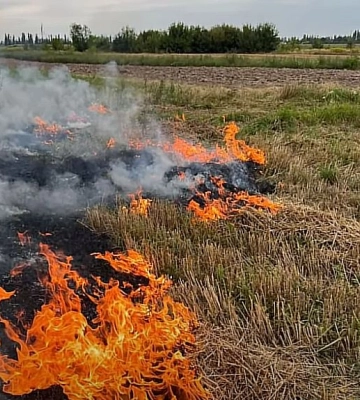На Волині трагічно загинув чоловік: тіло виявили під час пожежі сухої трави