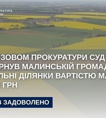 Суд повернув Малинській громаді земельні ділянки вартістю майже 6 млн грн, - прокуратура Житомирщини