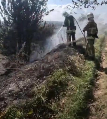 5 пожеж на відкритих територіях загальною площею понад 2 га ліквідували рятувальники Рівненщини впродовж минулої доби (ВІДЕО)