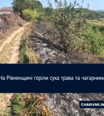 На Рівненщині горіли суха трава та чагарники