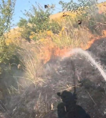 На Рівненщині горіли суха трава та чагарники