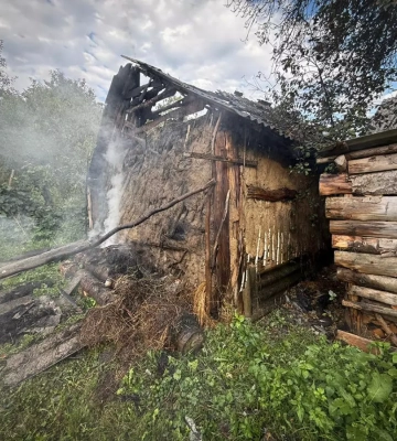 Під час пожежі на Виноградівщині димом отруїлася 6-річна дитина