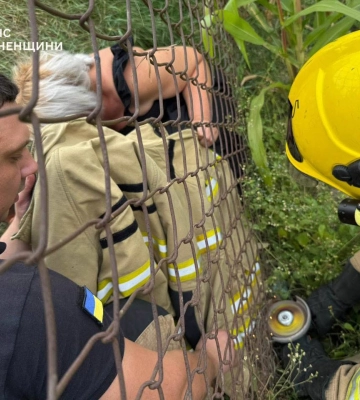 Дубенські рятувальники визволили дитину, що потрапила у пастку металевої сітки