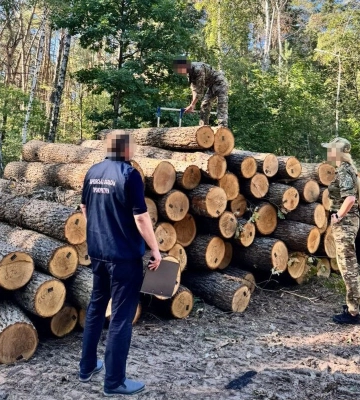 Керівник харківського лісгоспу «подарував» приватному підприємству деревини на 5 млн гривень