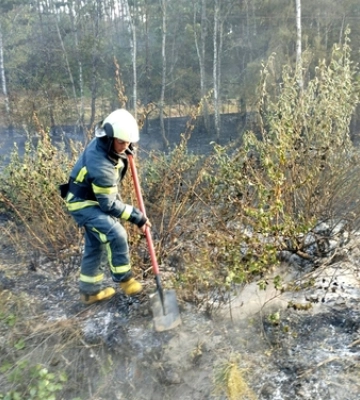 На Волині затримала іноземця без документів: що з ним буде 