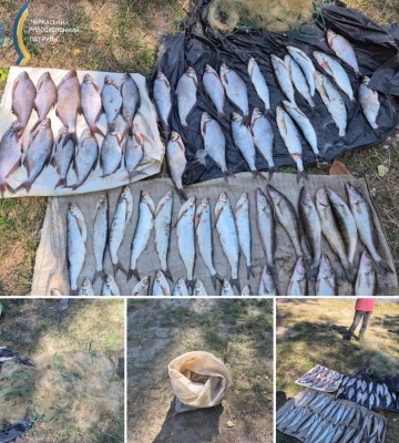 На Канівщині чоловік незаконно наловив судаків, чехонь та синців на понад 100 тисяч гривень