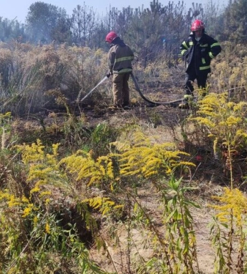 На Львівщині оголосили надзвичайну пожежну небезпеку на 6–9 вересня
