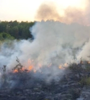 Рятувальники Волині приборкали вісім пожеж протягом доби (Фото)