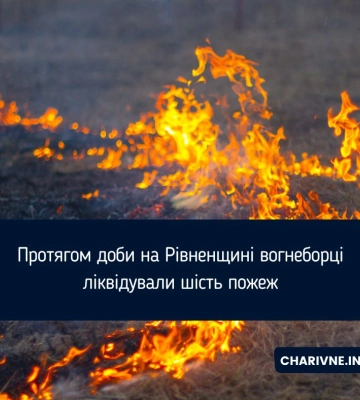 Рятувальники Волині приборкали вісім пожеж протягом доби (Фото)