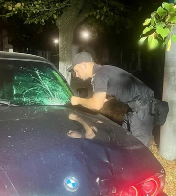 В Ізмаїлі затримали водія автівки, який на смерть збив жінку на переході (ВІДЕО)
