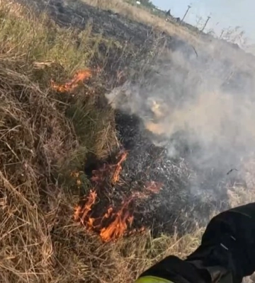 На Волині – масштабна пожежа: рятувальники, лісівники і місцеве населення гасять торф'яник (фото, відео)
