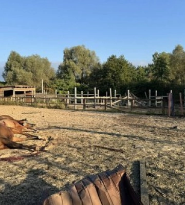 На Київщині від російської атаки постраждала дівчина, у трьох районах пошкоджені будинки