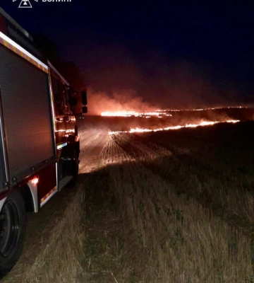 На Поліссі в одному господарстві згоріло три споруди (ВІДЕО)