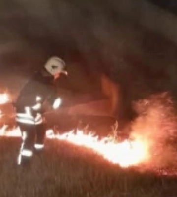 На Волині за добу ліквідували сім пожеж сухої трави та чагарників
