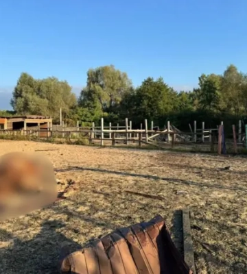 На Київщині від російської атаки постраждала дівчина, у трьох районах пошкоджені будинки
