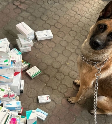 «Бельгійка» у Шегинях знайшла понад 600 пігулок у туристки з Іспанії