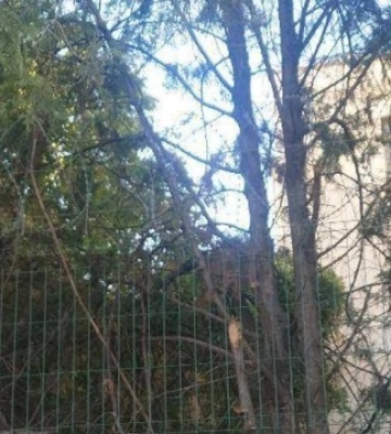 У Севастополі партизани зібрали дані про завод засобів зв&#039;язку ЧФ РФ