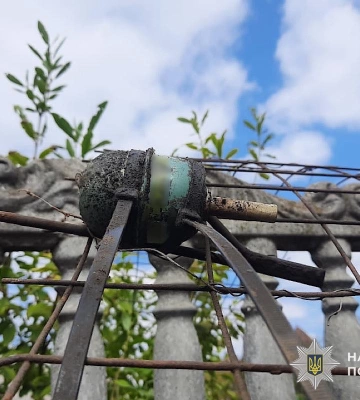 Жінка на Дніпропетровщині використала пристрій, схожий на гранату, для відлякування злодіїв