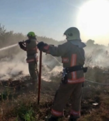 Волинські рятувальники показали, як боротимуться з найскладнішими пожежами (Відео)