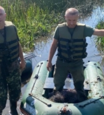 Острожчина: екоінспектори вилучили понад 300 метрів браконьєрських сіток на одному зі ставків громади