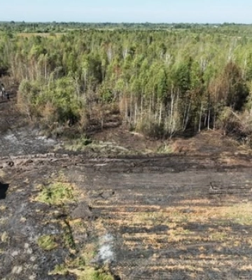 Горіли суха трава, чагарники, торф: на Волині загасили сім пожеж 