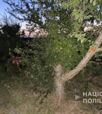 На Волині дві школярки на квадроциклі врізалися в дерево