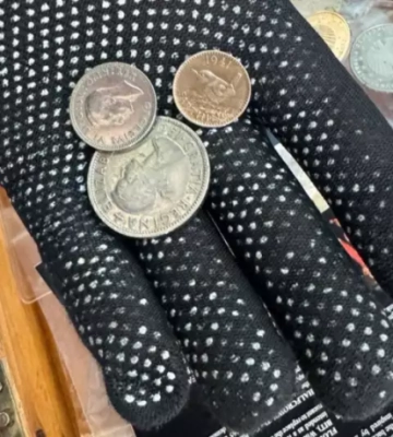 На Буковині затримали чоловіка, який намагався вивезти старовинні монети до Румунії