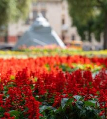 Комунальники «Декоративних культур» висадили квіти у Полтаві