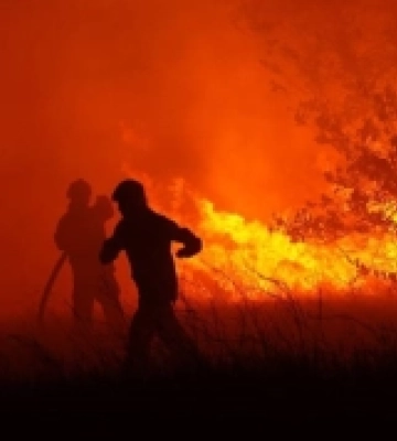 На Рівненщині за тиждень зафіксували 33 пожежі в екосистемах