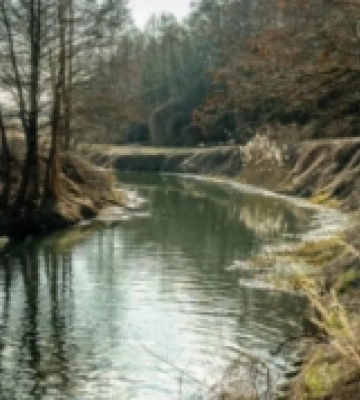 У Підгайцях обговорять екопарк, який планують створити у долині Топілля та Стиру