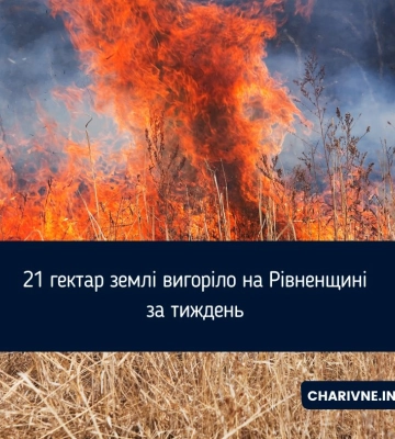 21 гектар землі вигоріло на Рівненщині за тиждень