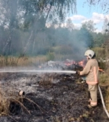 На Волині за добу згоріло понад 6 гектарів сухостою: рятувальники ліквідували вісім пожеж
