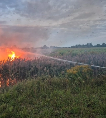 21 гектар землі вигоріло на Рівненщині за тиждень