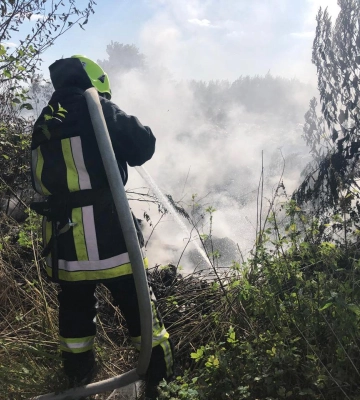 21 гектар землі вигоріло на Рівненщині за тиждень