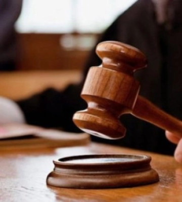 На Запоріжжі чоловік заплатить 4,8 тисяч гривень за незаконну вирубку дубів