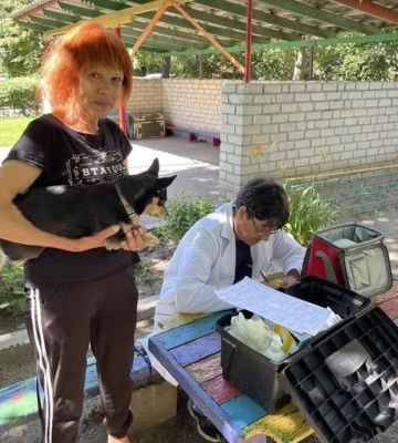 У Полтаві безкоштовно вакцинуватимуть котів і собак від сказу