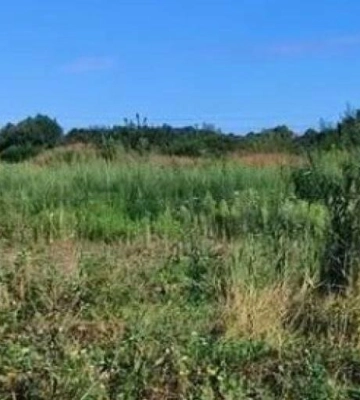 Земля під СТО та виробництво: у Львові на аукціоні продали дві ділянки на 41 млн грн