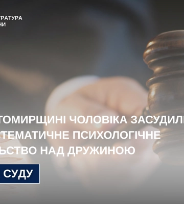 На Житомирщині чоловіка засудили за систематичне насильство над дружиною, - прокуратура