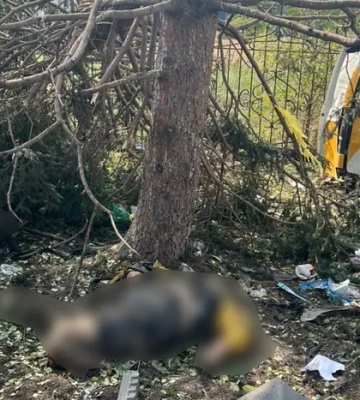 Поліцейські показали перші хвилини після удару по Яровій (відео)