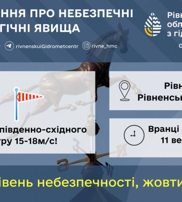 На Волині – час грибних дощів
