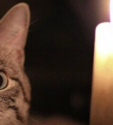 В Одесі 10 вересня низка вулиць залишиться без світла через ремонтні роботи